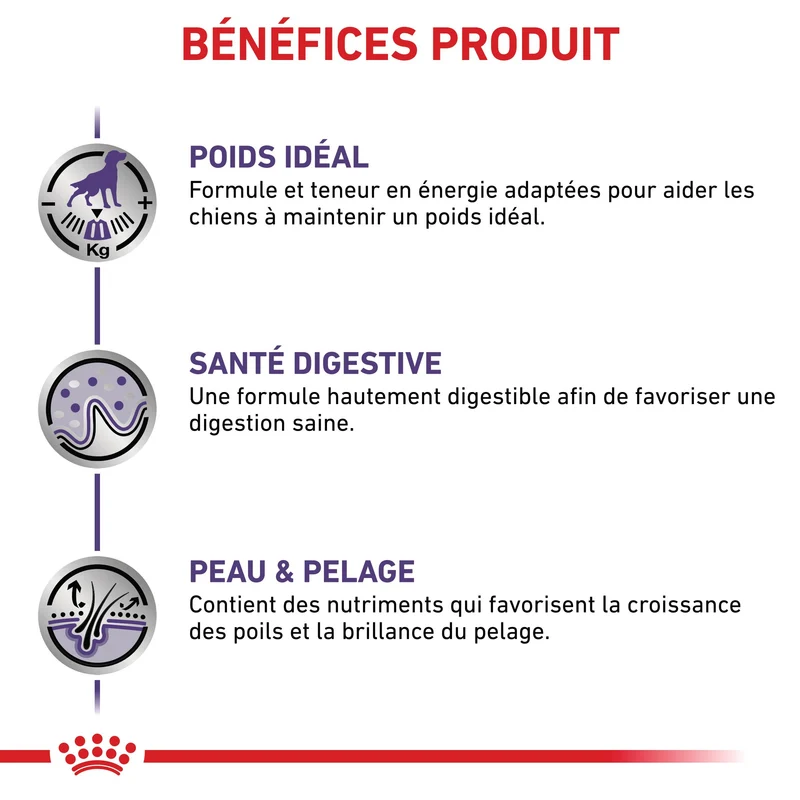 Royal Canin Veterinary Neutered Adult - pâtée chien