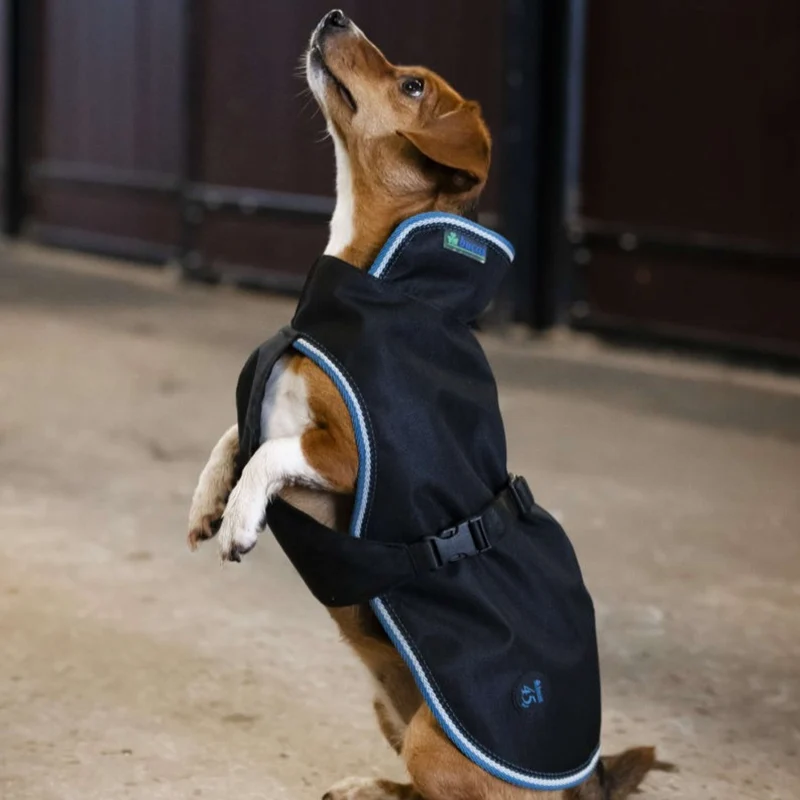 Bucas Anniversary Dog Rug Sapphire