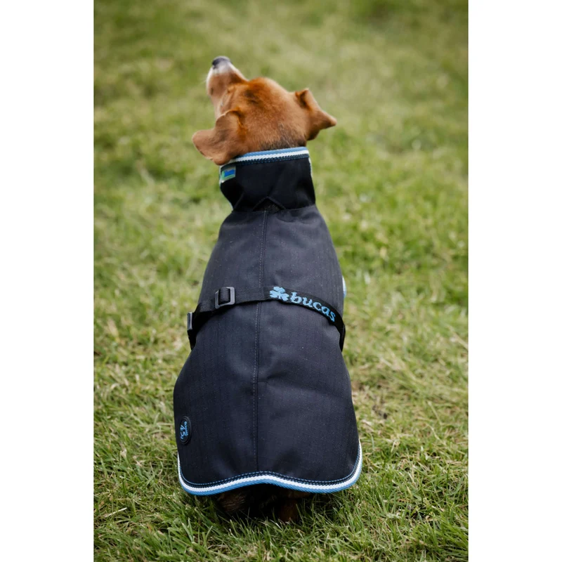 Bucas Anniversary Dog Rug Sapphire
