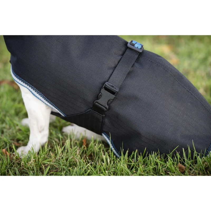 Bucas Anniversary Dog Rug Sapphire