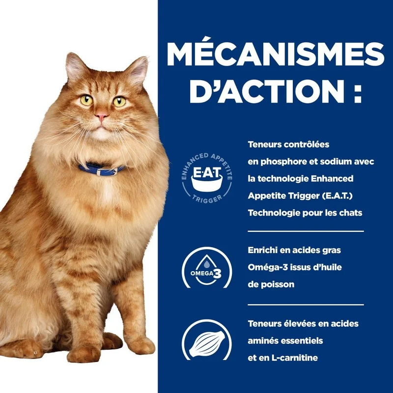 Hill's Prescription Diet k/d j/d Kidney + Mobility en sachets au poulet - pâtée chat