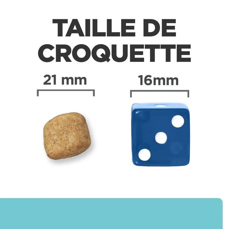 Hill's Prescription Diet t/d Dental Care Mini au poulet - croquettes chien