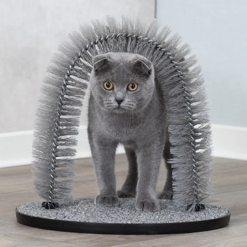 Arc de massage et de soin du pelage chat