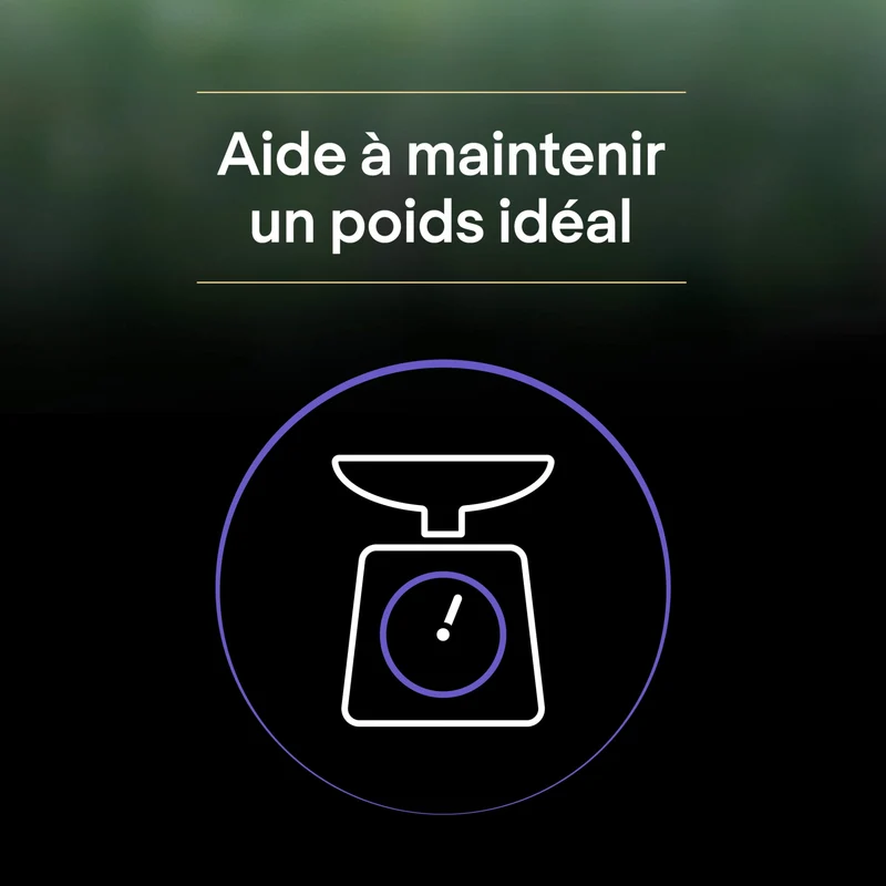 Pro Plan LiveClear Kitten à la dinde - croquettes chaton