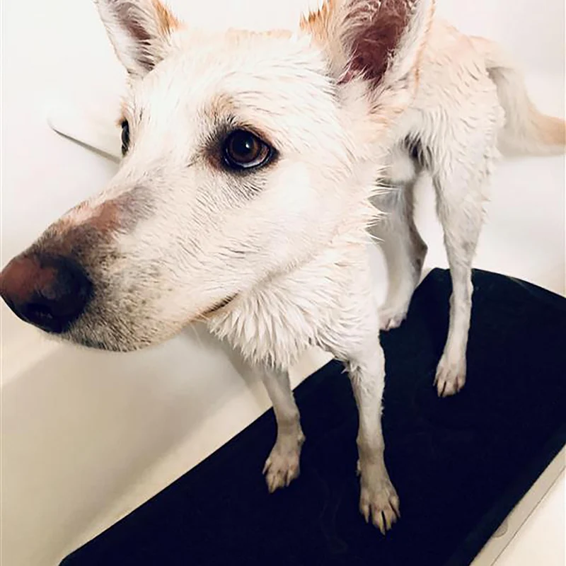 Tapis de bain chien