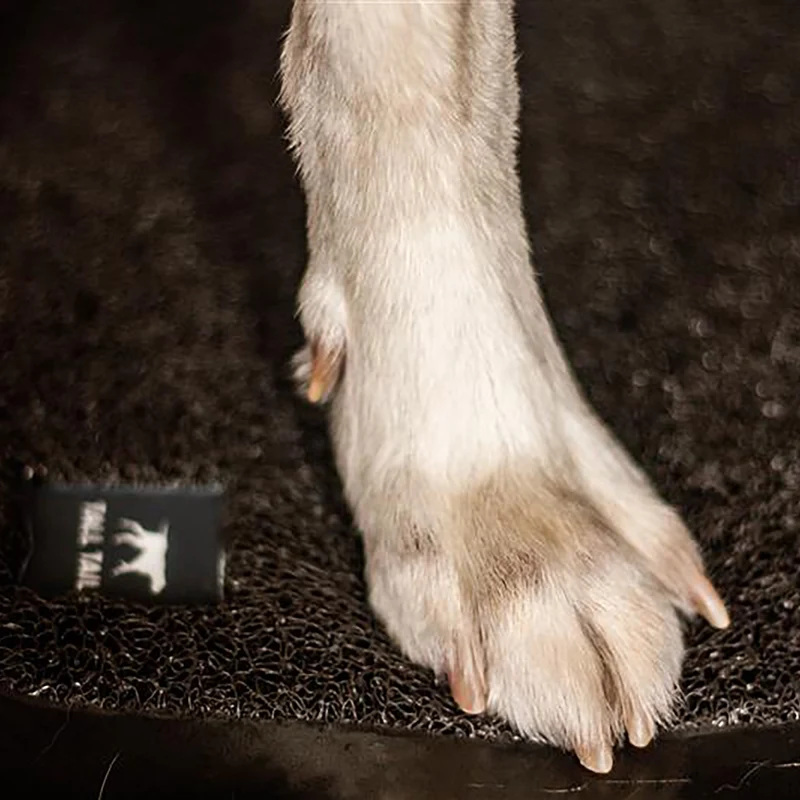 Tapis de bain chien
