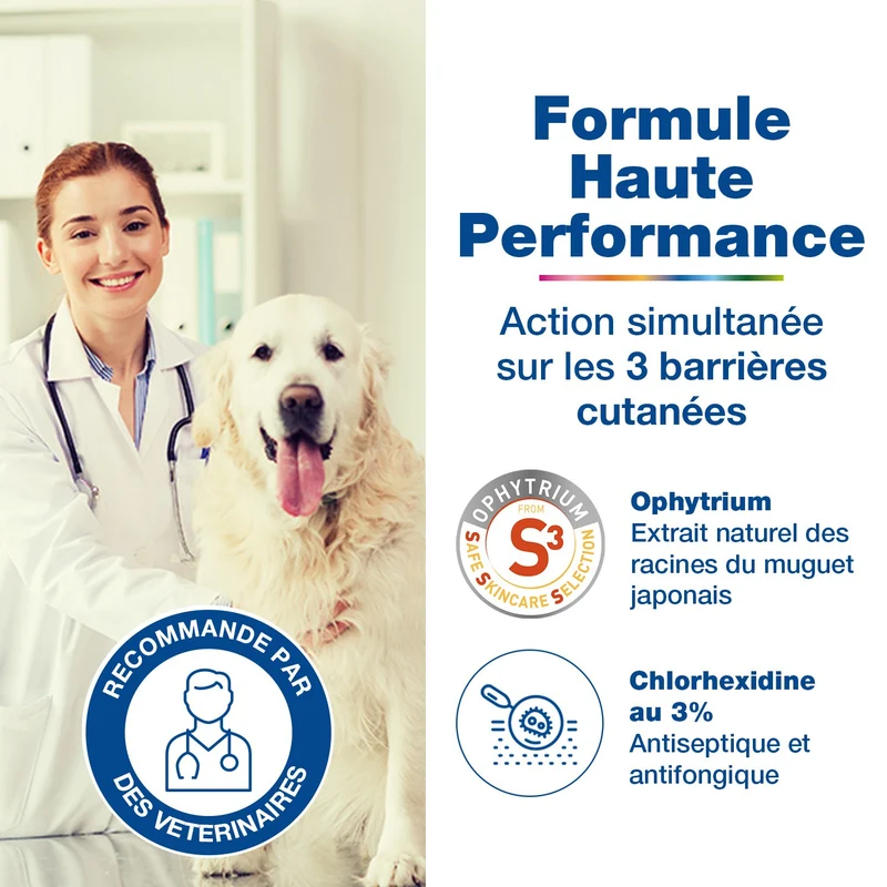Douxo S3 Pyo purifiant et hydratant mousse sans rinçage chien, chat