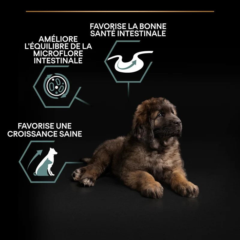 PRO PLAN Sensitive Digestion Large Robust Puppy à la Agneau- Croquettes pour chien
