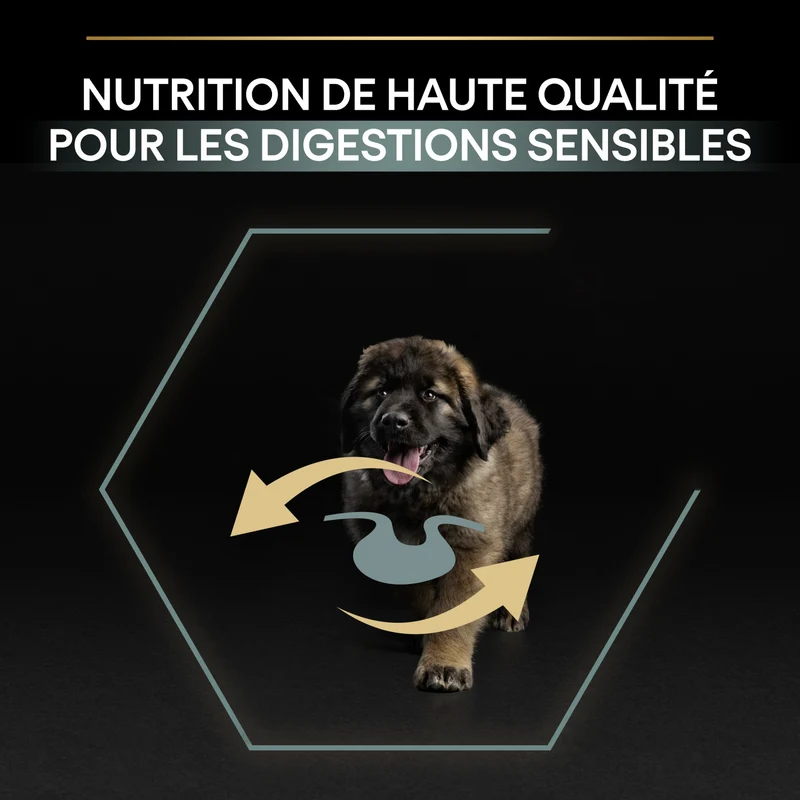 PRO PLAN Sensitive Digestion Large Robust Puppy à la Agneau- Croquettes pour chien