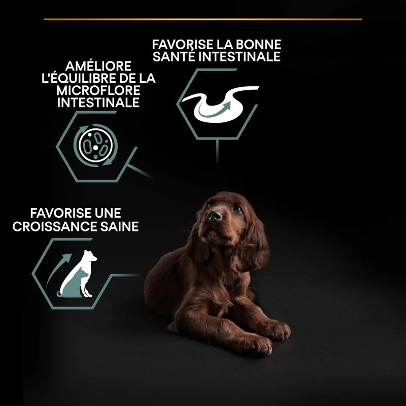 Pro Plan Sensitive Digestion Large Athletic Puppy à l'agneau - croquettes chiot