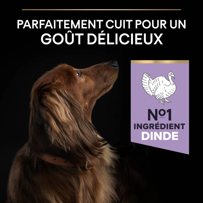 Pro Plan Sensitive Digestion No Grain Small & Mini Adult à la dinde - croquettes chien