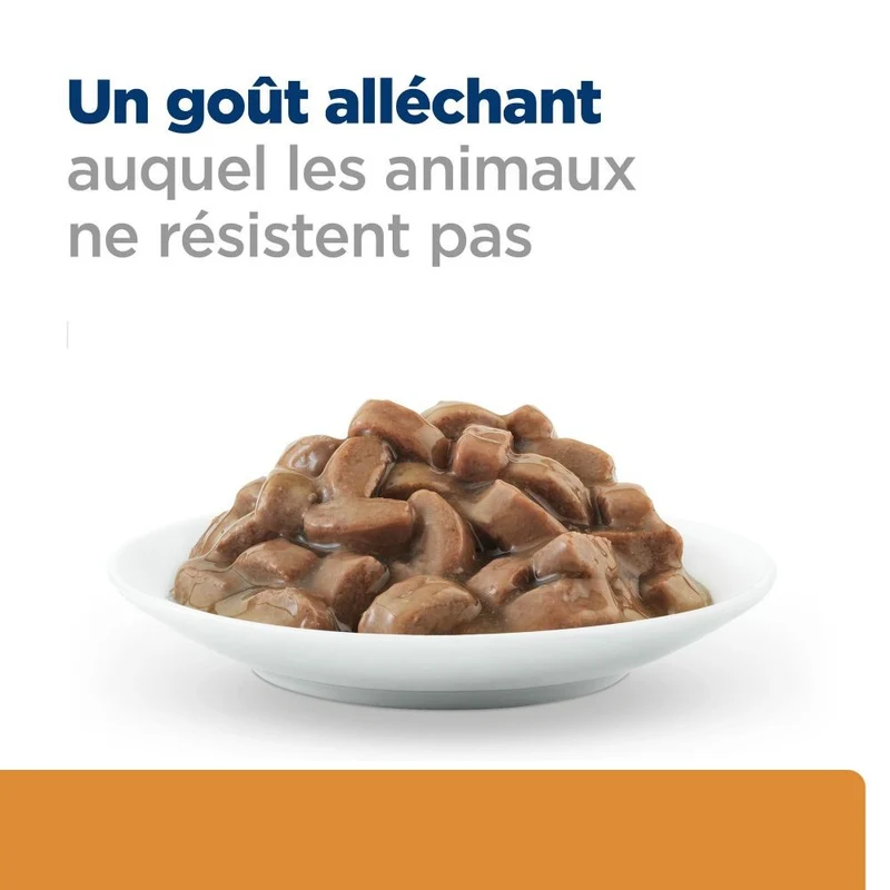 Hill's Prescription Diet k/d Kidney Care en bouchées au saumon - pâtée chat