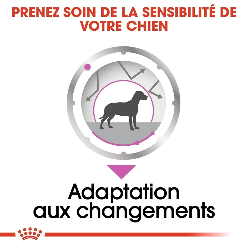 Royal Canin Relax Care - Pâtée pour chien