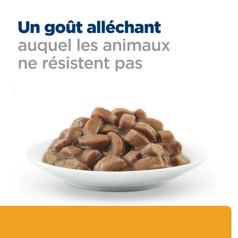 Hill's Prescription Diet c/d Urinary Care Multicare en sachets - pâtée chat