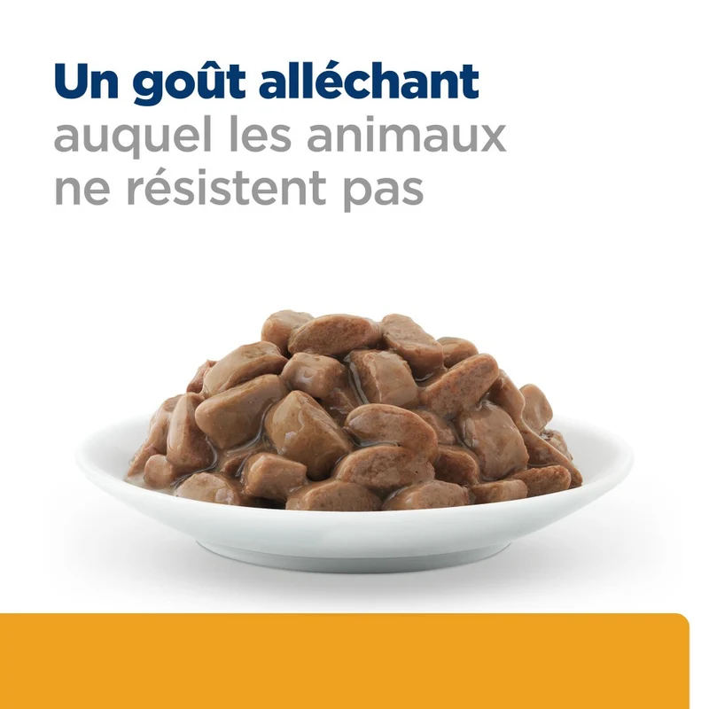 Hill's Prescription Diet c/d Urinary Care Multicare en sachets - pâtée chat