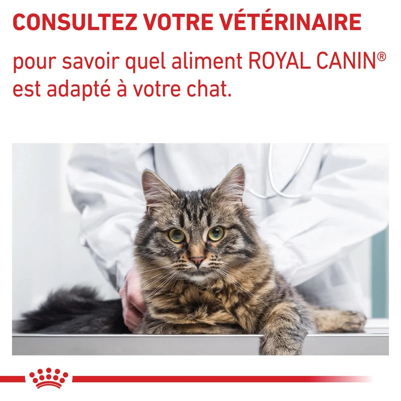 Royal Canin Neutered Balance - pâtée chat