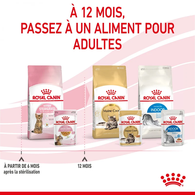 Royal Canin Kitten Sterilised gelée et sauce - pâtée chaton