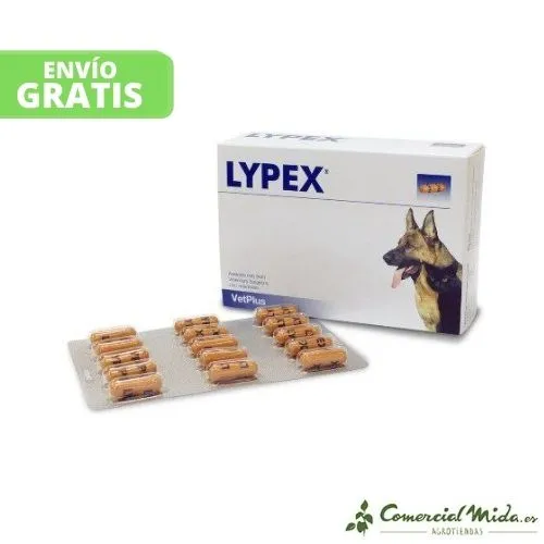 VETPLUS Lypex 60 Gélules Soin Gastro-Intestinal pour Animaux de Compagnie