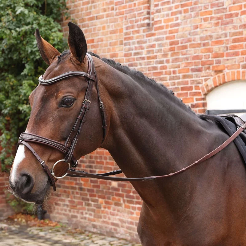 Velociti by Shires Rênes Lusso Elite Pro SureGrip Havane
