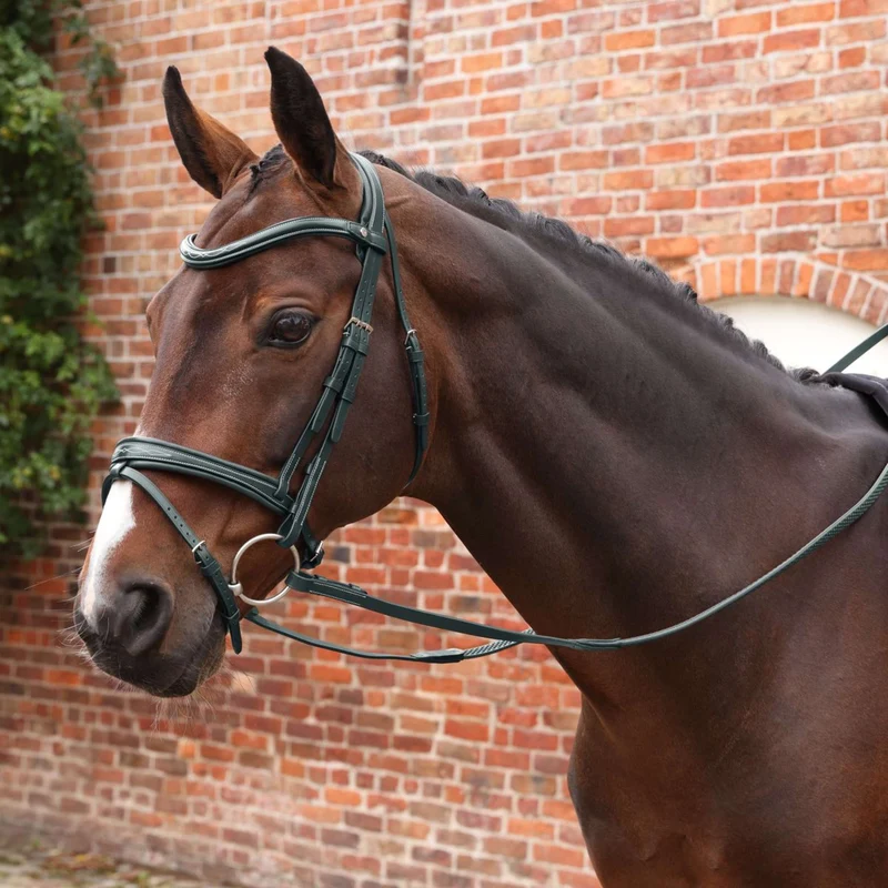 Velociti by Shires Rênes Lusso Elite Pro SureGrip Noir