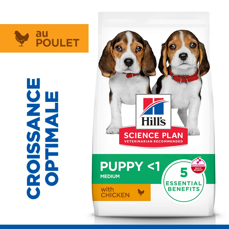 Hill's Science Plan Medium Puppy au poulet - croquettes chiot