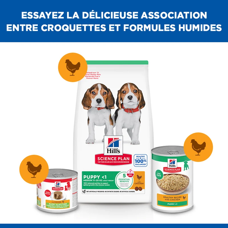 Hill's Science Plan Medium Puppy au poulet - croquettes chiot