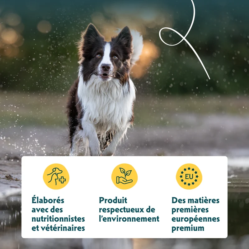 Yarrah multi-pack bio - pâtée chien
