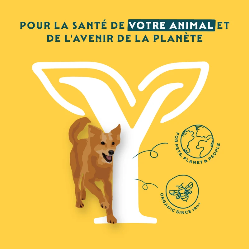Yarrah bio - pâtée chien