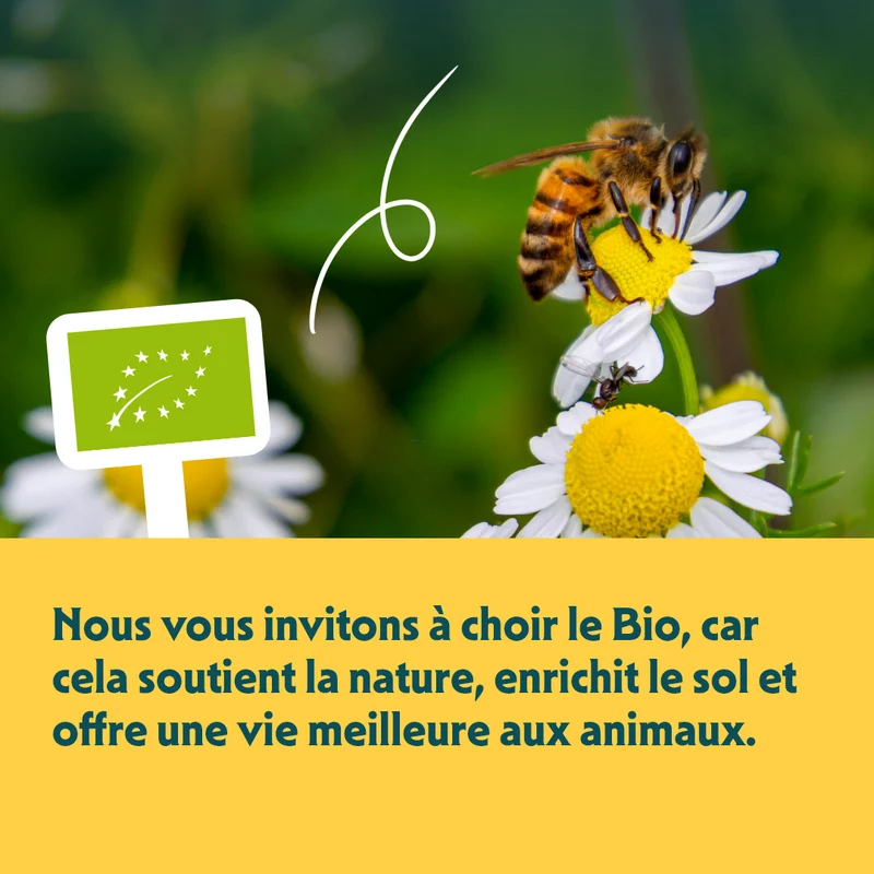 Yarrah bouchées bio sans céréales - pâtée chat