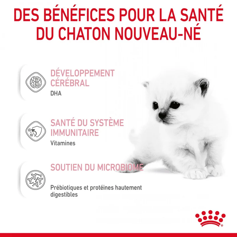 Royal Canin Babycat Milk - lait maternisé chaton