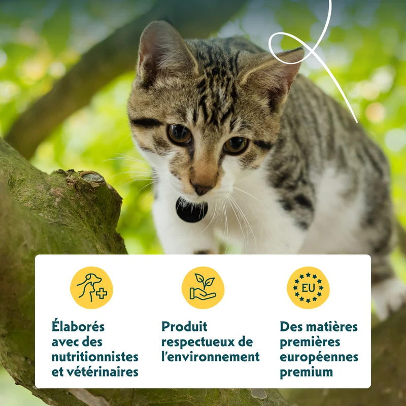 Yarrah bio - pâtée chat