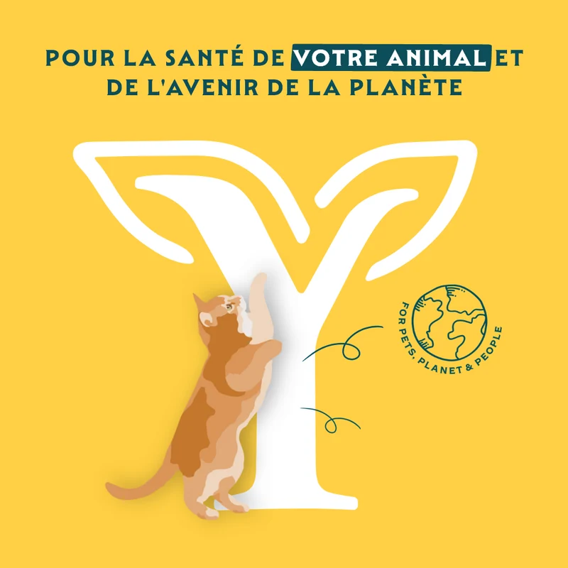 Yarrah bio - pâtée chat
