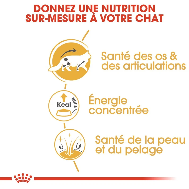 Royal Canin Maine Coon Adult - pâtée chat