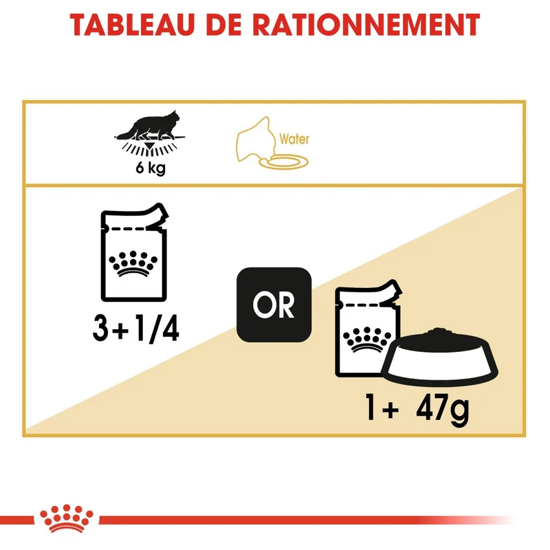 Royal Canin Maine Coon Adult - pâtée chat