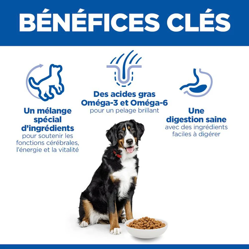 Hill's Science Plan Senior Vitality Large Mature Adult 6+ au poulet - croquettes chien