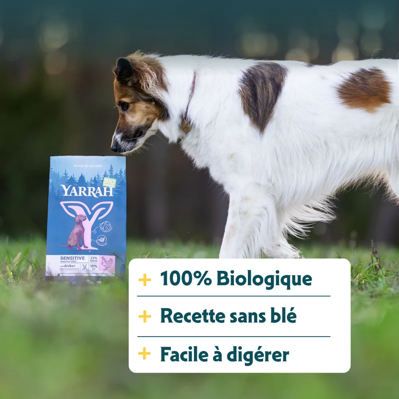 Yarrah croquettes bio pour chien sensible