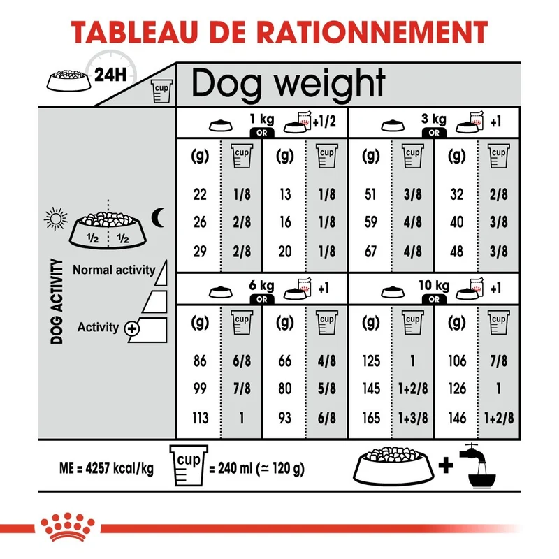 Royal Canin Mini Digestive Care - Croquettes pour chien