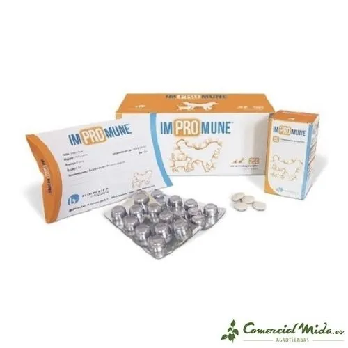 Immunomodulateur Imprompu pour Chiens et Chats Comprimés