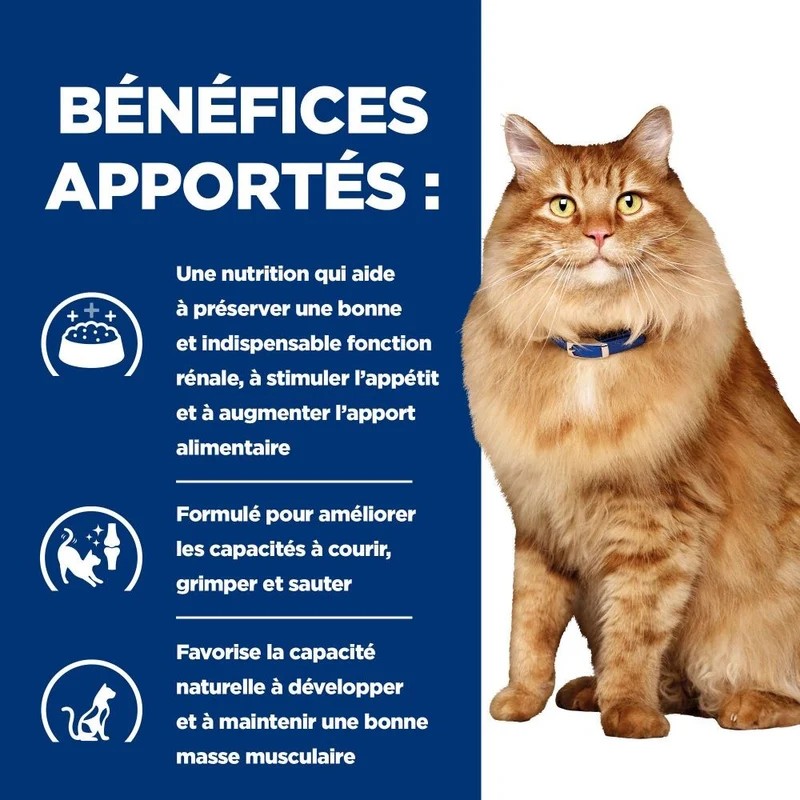 Hill's Prescription Diet k/d j/d Kidney + Mobility au poulet - croquettes chat
