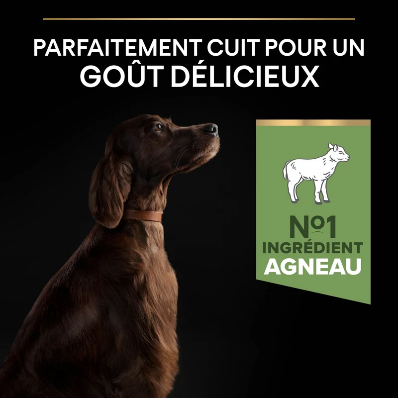 Pro Plan Sensitive Digestion Large Athletic Adult à l'agneau - croquettes chien