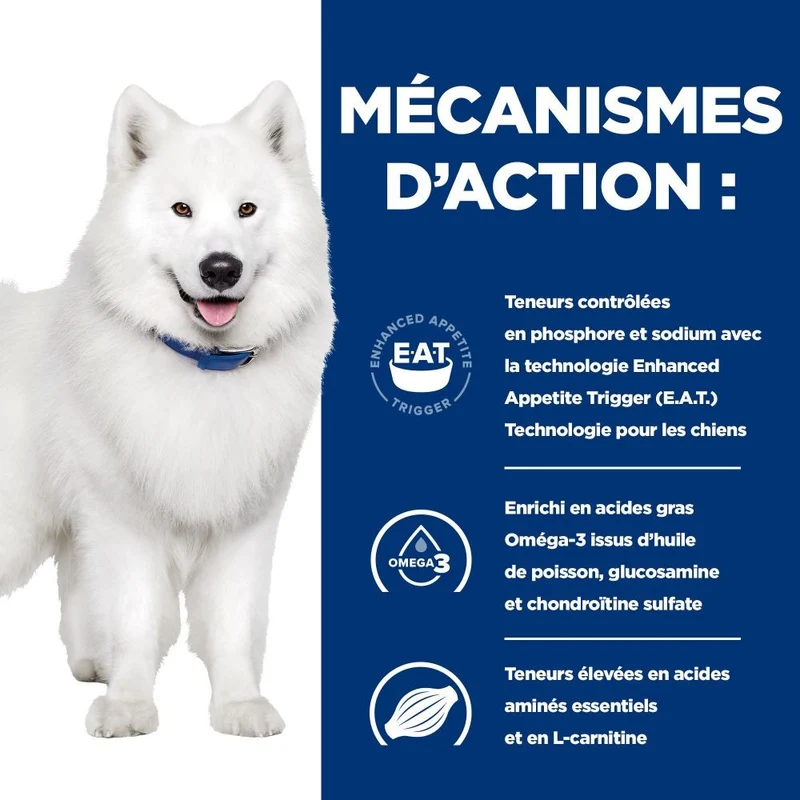 Hill's Prescription Diet k/d j/d Kidney + Mobility - croquettes chien