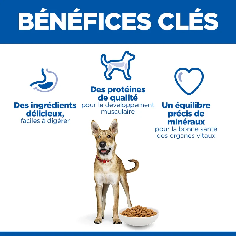 HILL'S Science Plan Performance All Breed Adult au Poulet - Croquettes pour chien