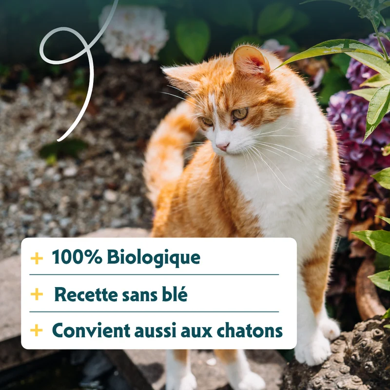 Yarrah croquettes bio sans céréales pour chat adulte