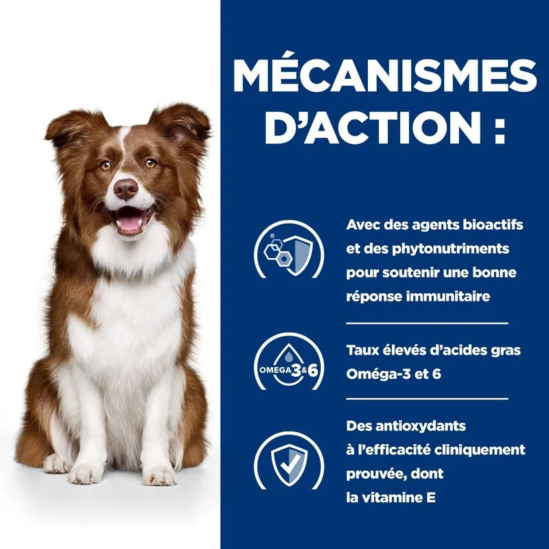 Hill's Prescription Diet Derm Defense au poulet - croquettes chien