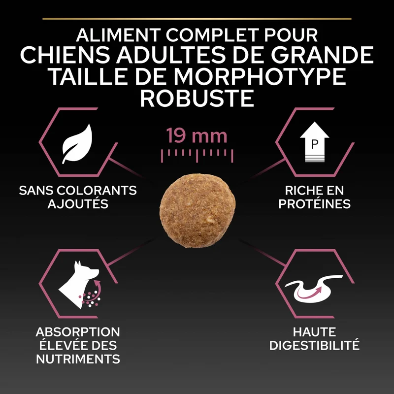 Pro Plan Sensitive Skin Large Robust Adult au saumon - croquettes chien
