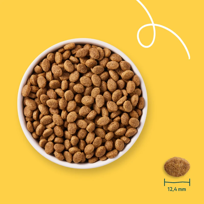 Yarrah Bio senior - croquettes chien