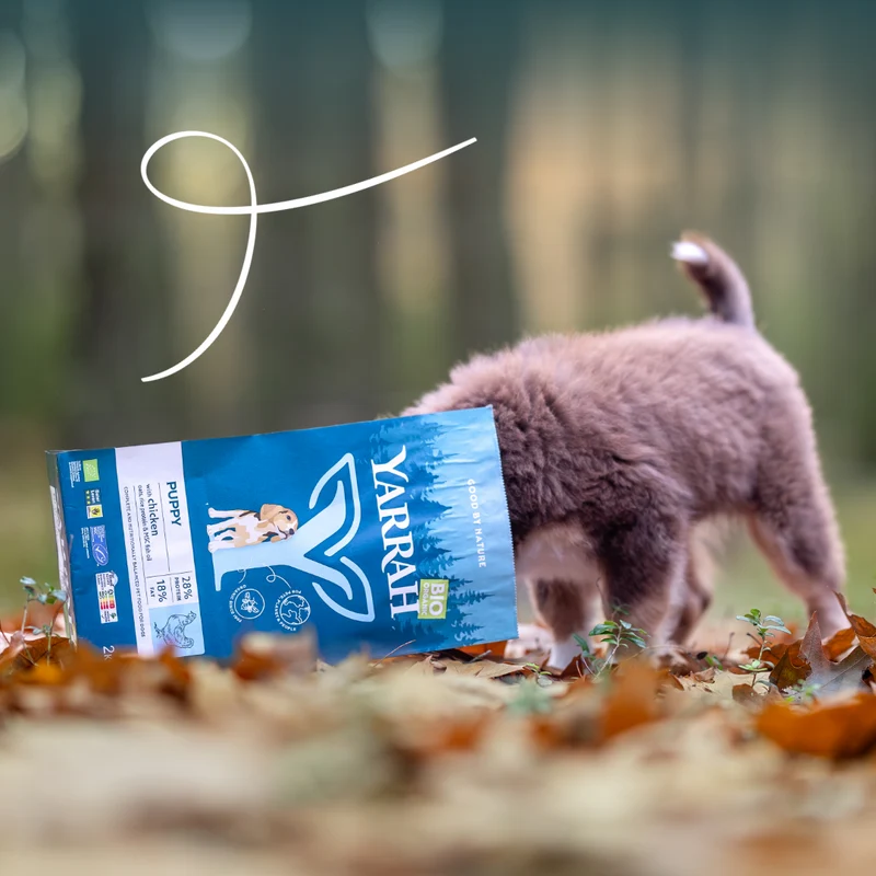 Yarrah croquettes bio pour chiot