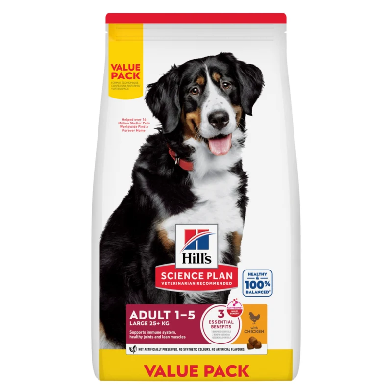 Hill's Science Plan Large Adult au poulet - croquettes chien