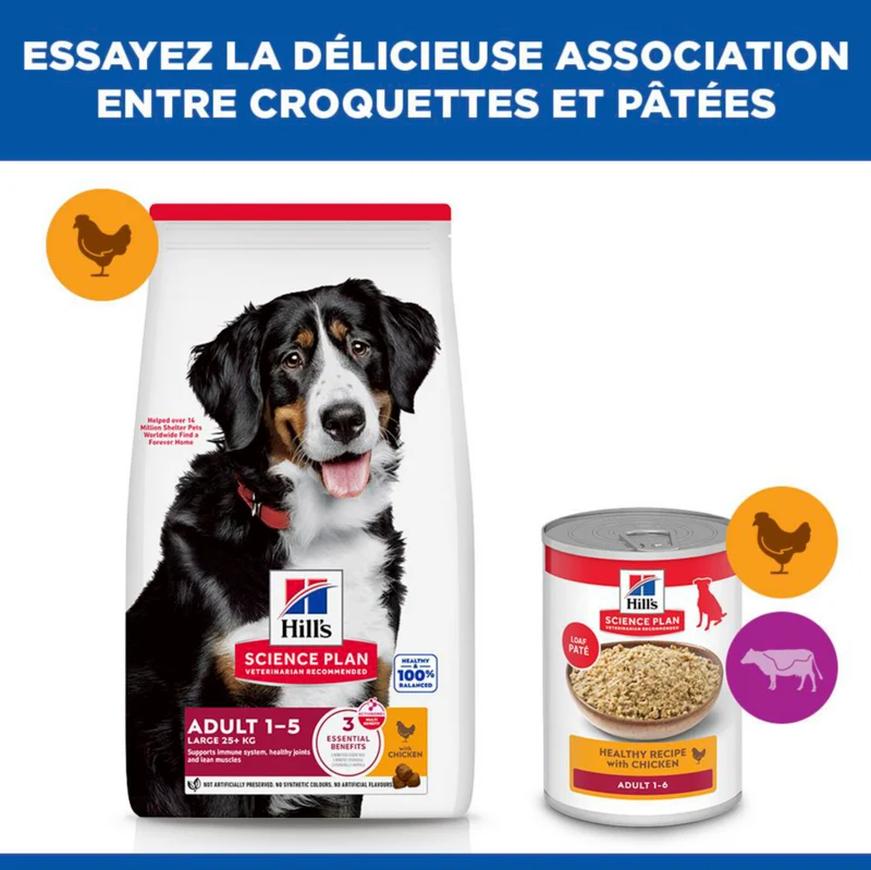 Hill's Science Plan Large Adult au poulet - croquettes chien
