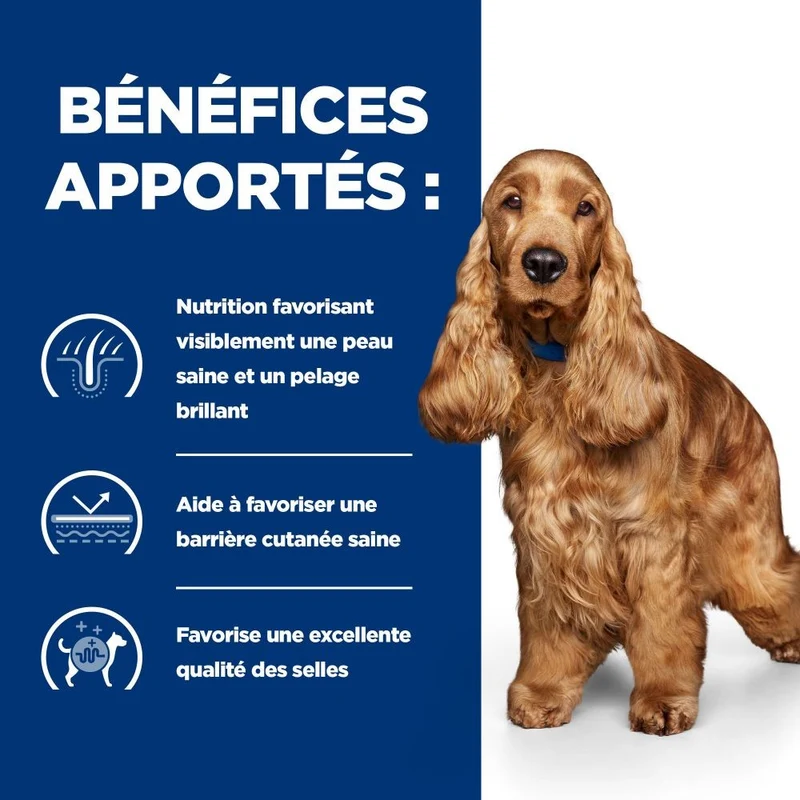 Hill's Prescription Diet z/d Food Sensitivities - croquettes chien